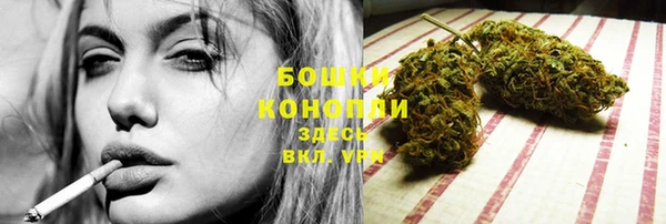 мдпв Богданович