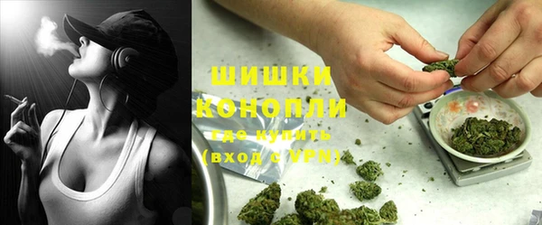 мдпв Богданович