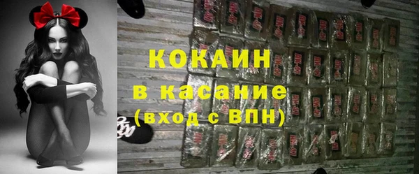 мдпв Богданович