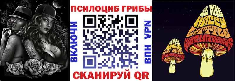 Галлюциногенные грибы Magic Shrooms продажа наркотиков Тбилисская